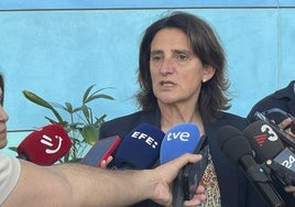 Teresa Ribera, en una comparecencia ante los medios.