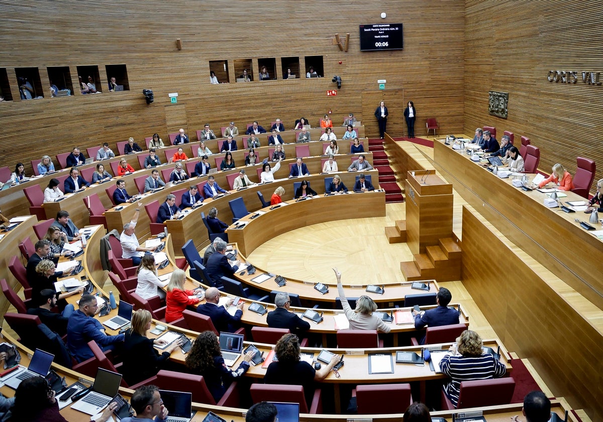 El PSPV insta a que Les Corts de voz a víctimas y asociaciones de la dana ante los ataques de Vox
