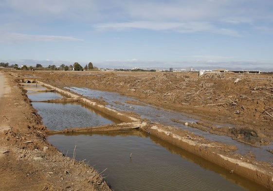 Estado de la Albufera en las inmediaciones del puerto de Catarroja.