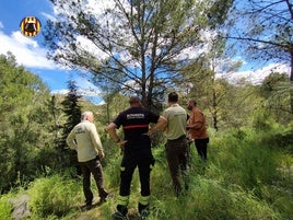 Los técnicos, en su visita a una de las zonas forestales de Xàtiva.
