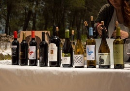 Vinos de Terres dels Alforins.