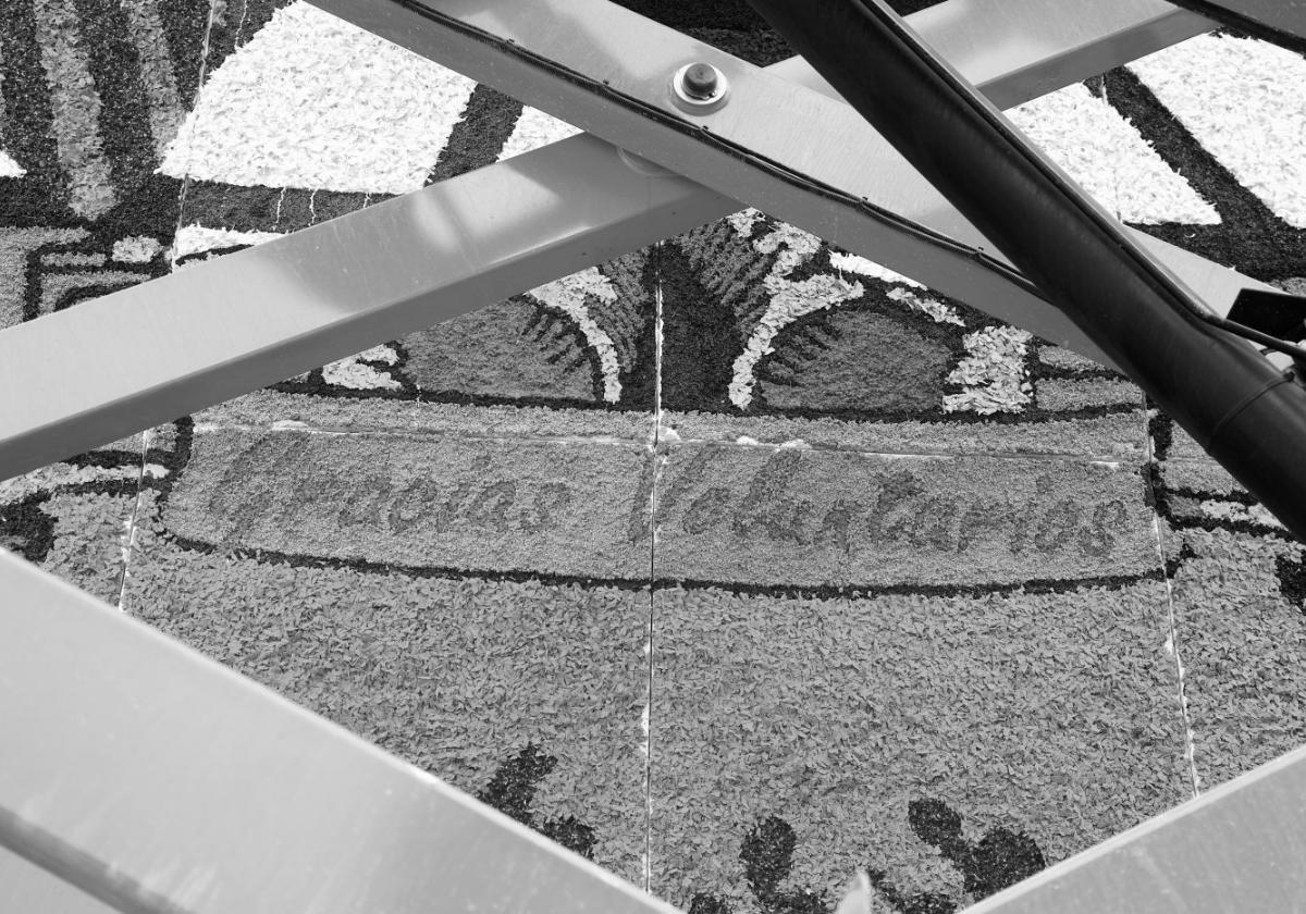 Mare dels Desamparats, ajuda als valencians