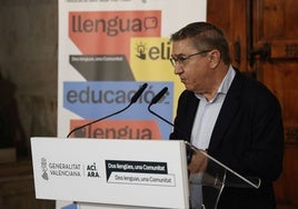 José Antonio Rovira, en la presentación de la campaña institucional sobre la consulta.