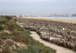Las playas del sur de Valencia, tras la dana.
