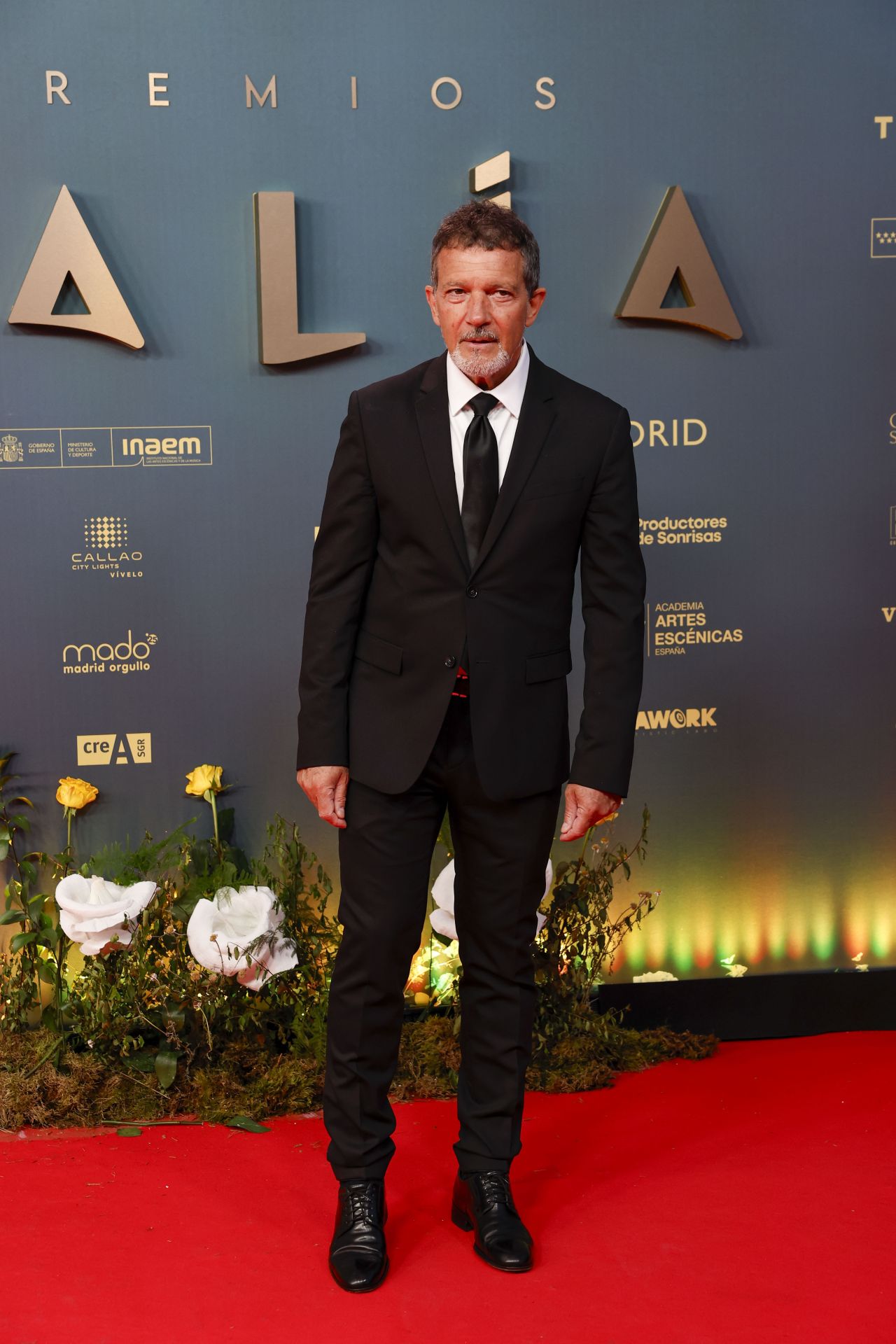 FOTOS | La alfombra roja de los Premios Talía 2025
