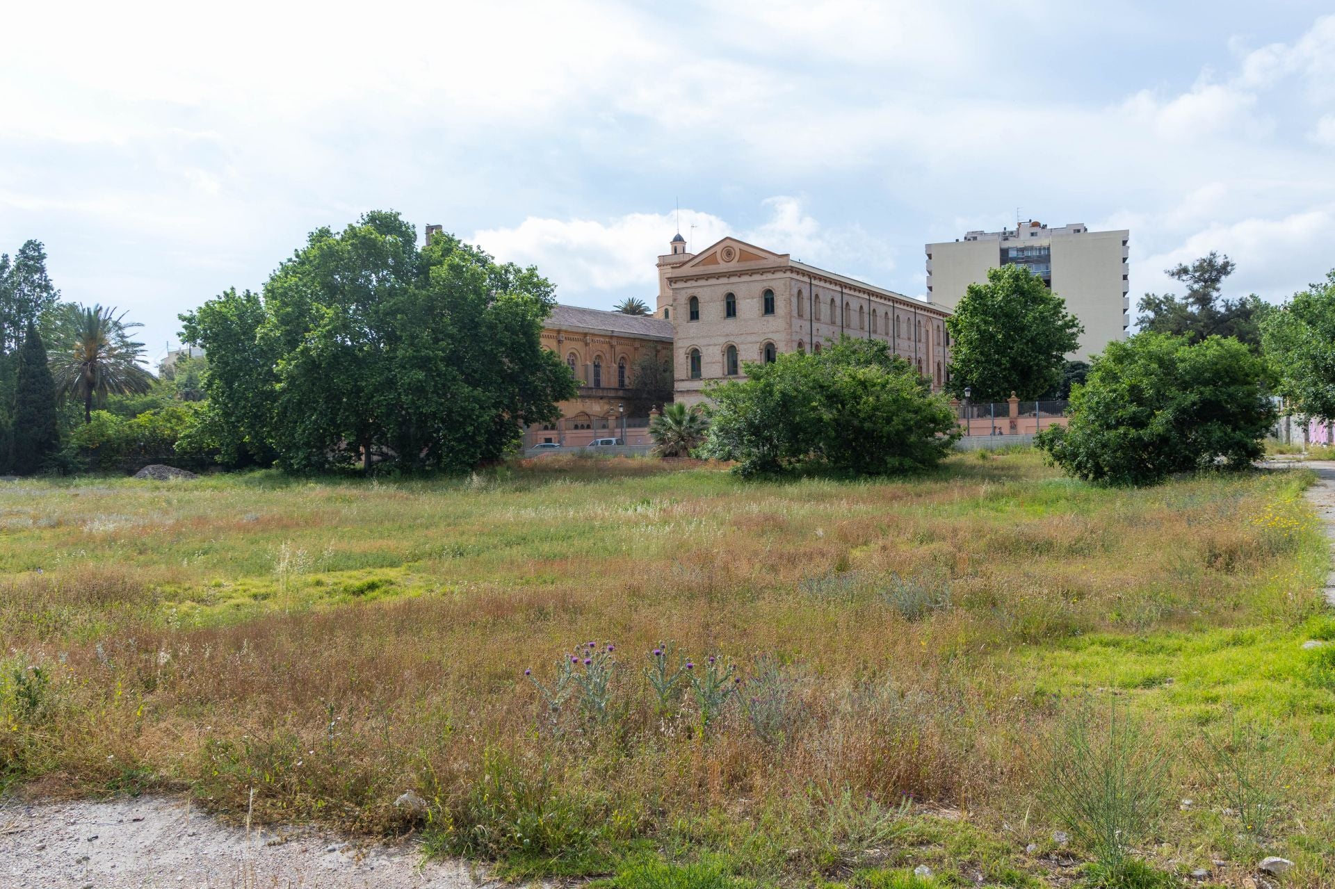 FOTOS | Comienzan las obras del nuevo jardín del solar de Jesuitas de Valencia