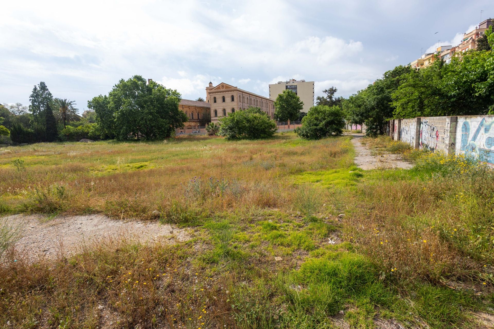 FOTOS | Comienzan las obras del nuevo jardín del solar de Jesuitas de Valencia