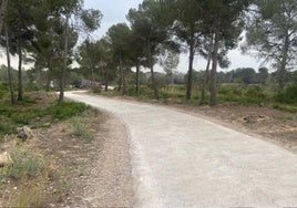 Camino en uno de los parajes de Guadassuar.