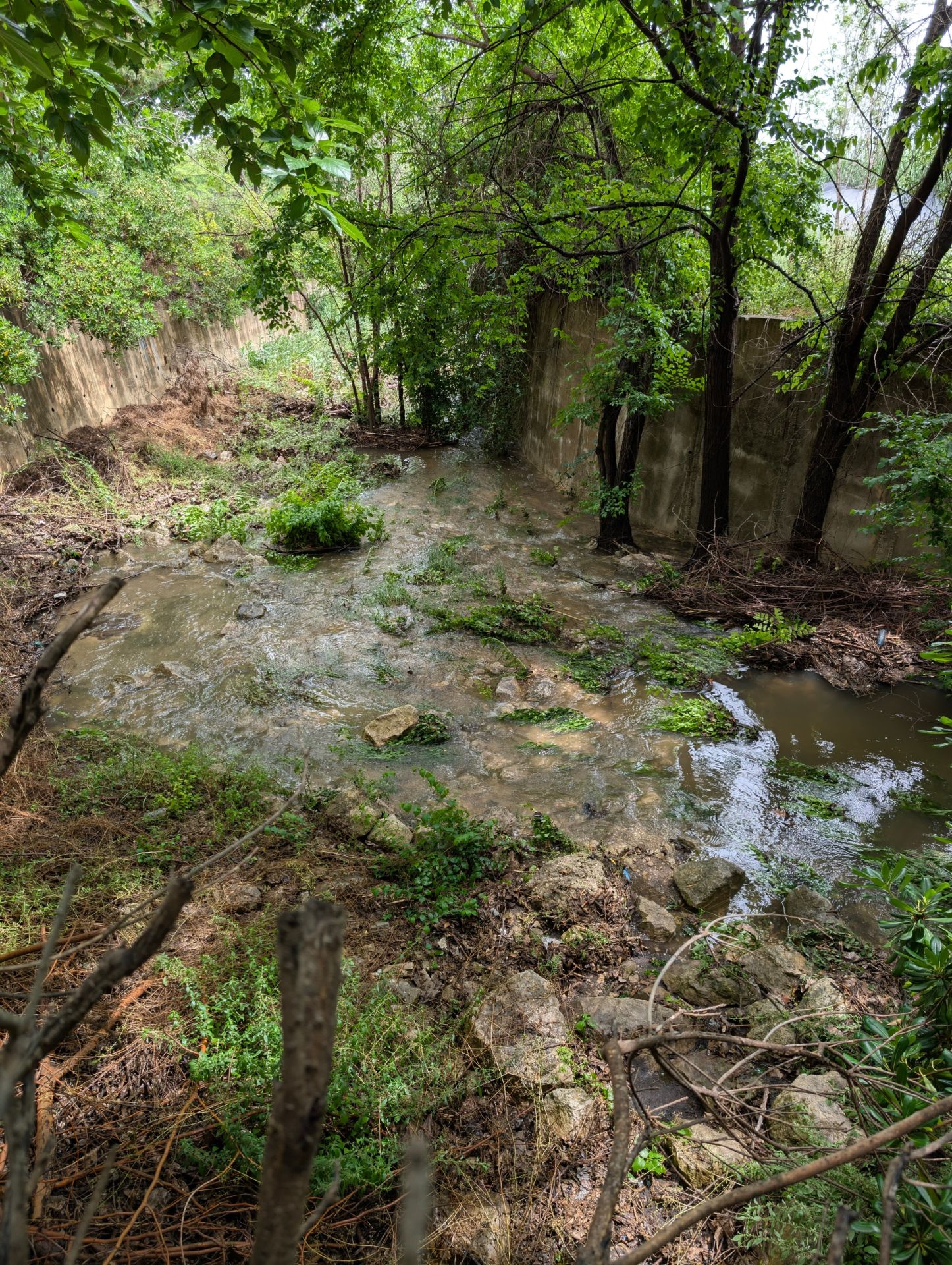 Aspecto que presenta el barranco a su paso por el municipio.