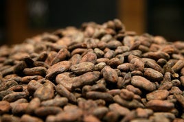 Vainas de cacao