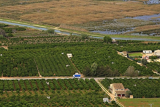 La carretera CV-700 en el término municipal de Pego.
