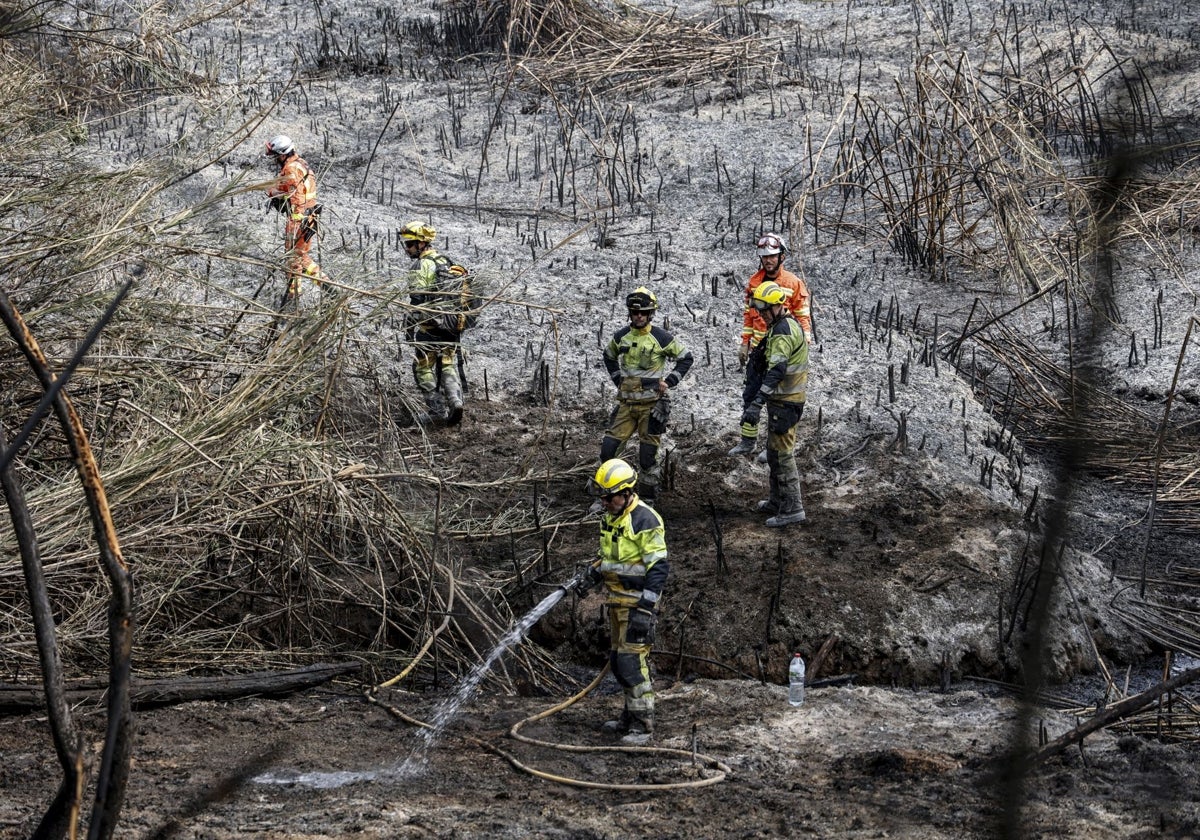 Bomberos sofocan un incendio forestal en Azuébar