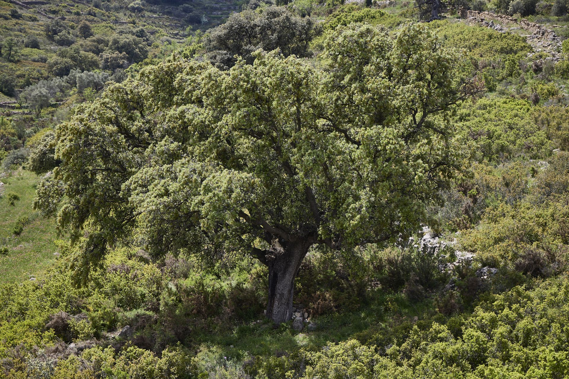 Un refugio rural para nómadas digitales