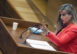 Eva Ortiz, durante su etapa como diputada autonómica.