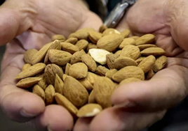 El alimento que se toma antes de las comidas para bajar el azúcar en sangre y controlar el colesterol