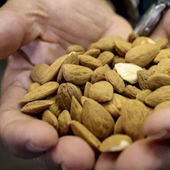 El alimento que se toma antes de las comidas para bajar el azúcar en sangre y controlar el colesterol