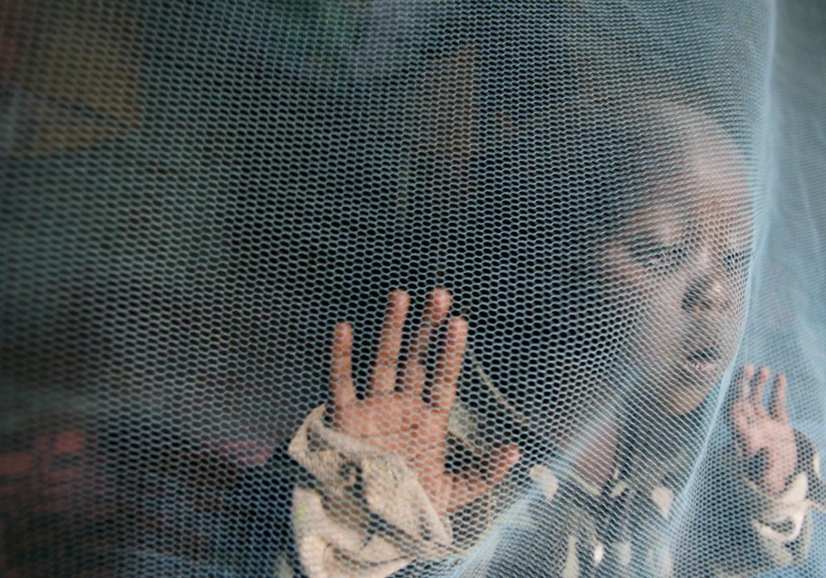Investigadores valencianos avanzan en la lucha contra la malaria