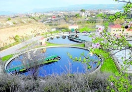 El uso de aguas residuales para riego es necesario pero exige máxima depuración