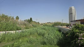 El barranc del Quisi a su paso por Calp.