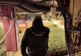 Una plantación de marihuana en una imagen de archivo.