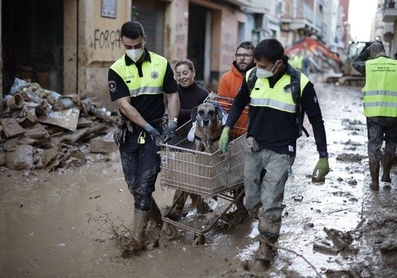 Una calle de Paiporta el pasado 7 de noviembre.