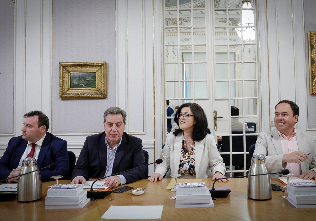 Vox rebaja la presión sobre la avl y el pp lo considera un «acierto» | las provincias