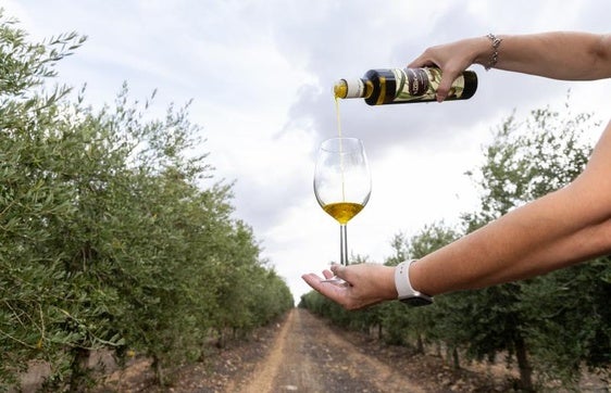El enigmático mensaje del Gobierno y la Junta de Andalucía sobre el precio del aceite en el futuro: «Los agricultores tienen que ganar dinero»