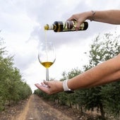 El enigmático mensaje del Gobierno y la Junta de Andalucía sobre el precio del aceite en el futuro: «Los agricultores tienen que ganar dinero»