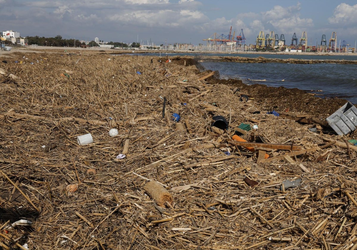Restos de cañas acumuladas en la playa de Pinedo pocos días después de la dana.