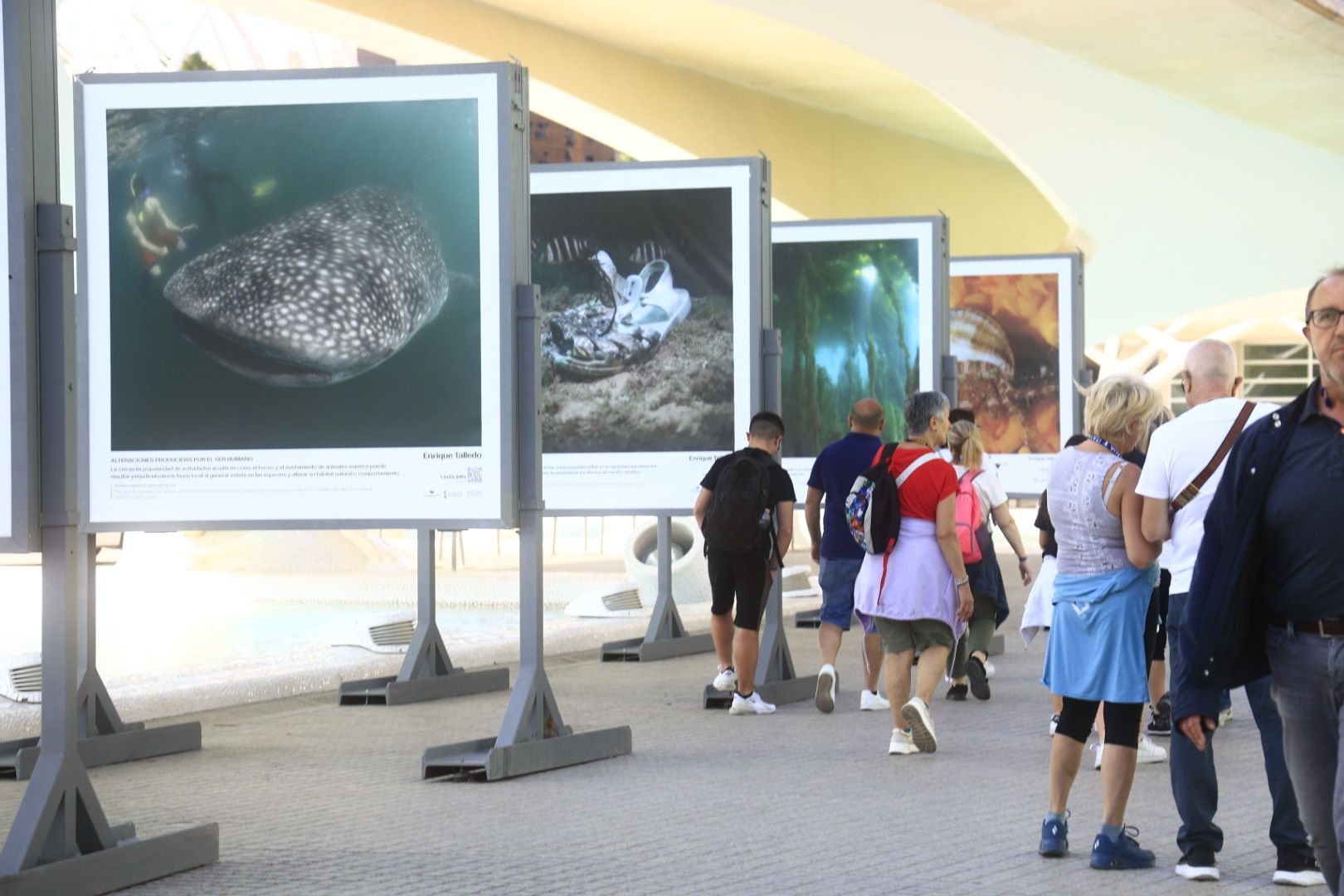 FOTOS | Llega a l&#039;Oceanogràfic de Valencia la exposición &#039;Cambio global: océanos, 21 evidencias científicas&#039;