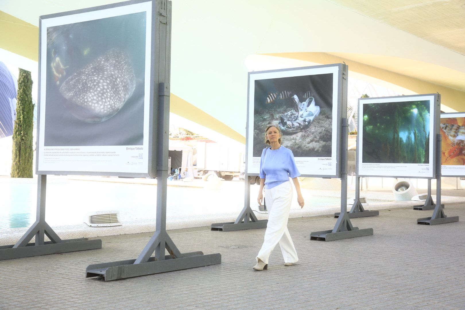 FOTOS | Llega a l&#039;Oceanogràfic de Valencia la exposición &#039;Cambio global: océanos, 21 evidencias científicas&#039;