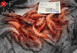 Una caja de gamba roja de Dénia en un puesto del Mercat Municipal.