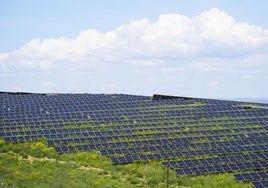 Una planta fotovoltaica en Sevilla.