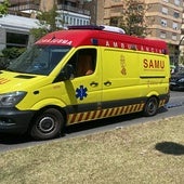 Una ambulancia del SAMU y varios policías junto al lugar donde se ha producido el atropello.