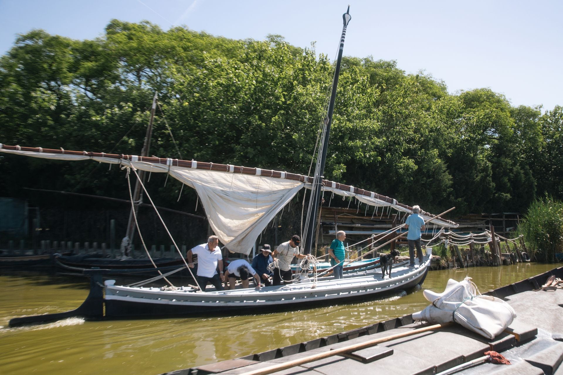 FOTOS | La vela latina vuelve a surcar la Albufera