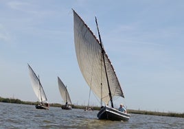 Las embarcaciones volvieron a surcar la laguna de la Albufera.