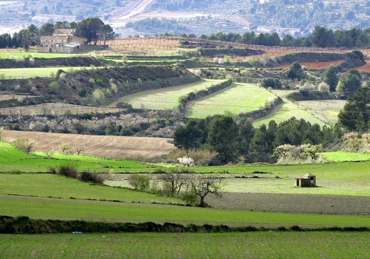 Valle de la llamada Toscana valenciana, que abarca parte de las comarcas de la Vall d'Albaida y la Costera.