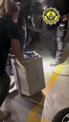 Policía Local de Valencia y Bomberos retiran una culebra de tres metros del interior del motor de un coche en el Botánico