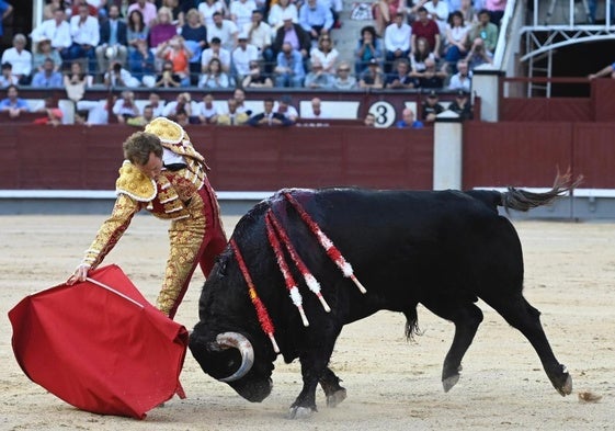 Román y Fuente Ymbro una explosión de emociones