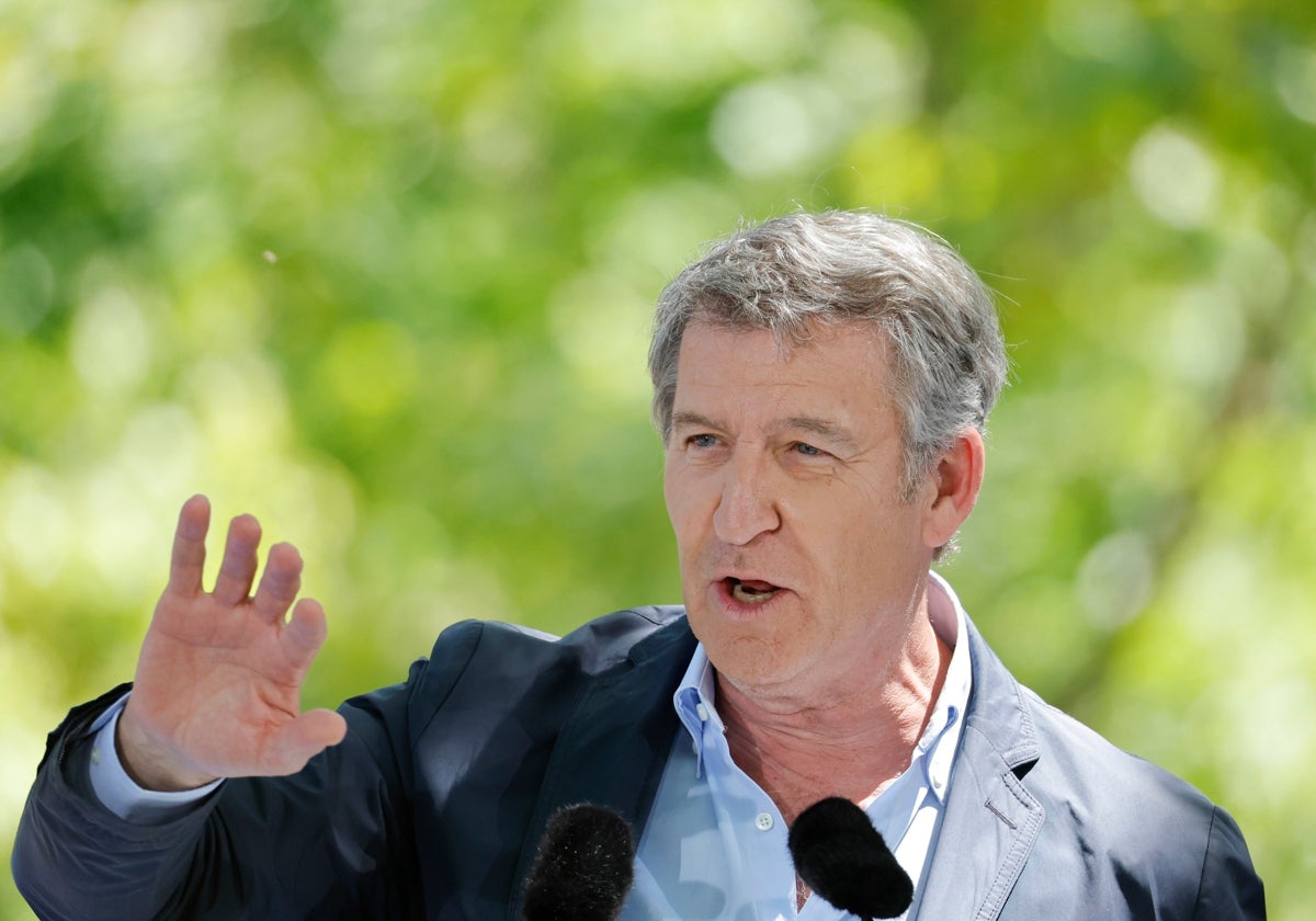 El presidente nacional del PP Alberto Núñez Feijóo.