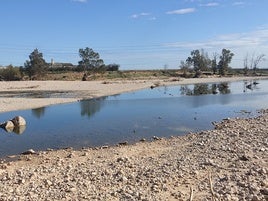 Balsa de agua en el río Magro a su paso por l'Alcúdia,