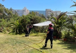Bomberos de Valencia, aplicando el producto retardante frente al Sidi Saler, en la Devesa.