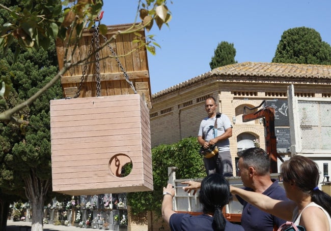 Proceso de montaje de las casetas en el Cementerio General.