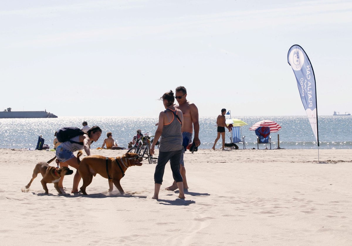 Playa can instalada otros años en el mes de junio en Pinedo.