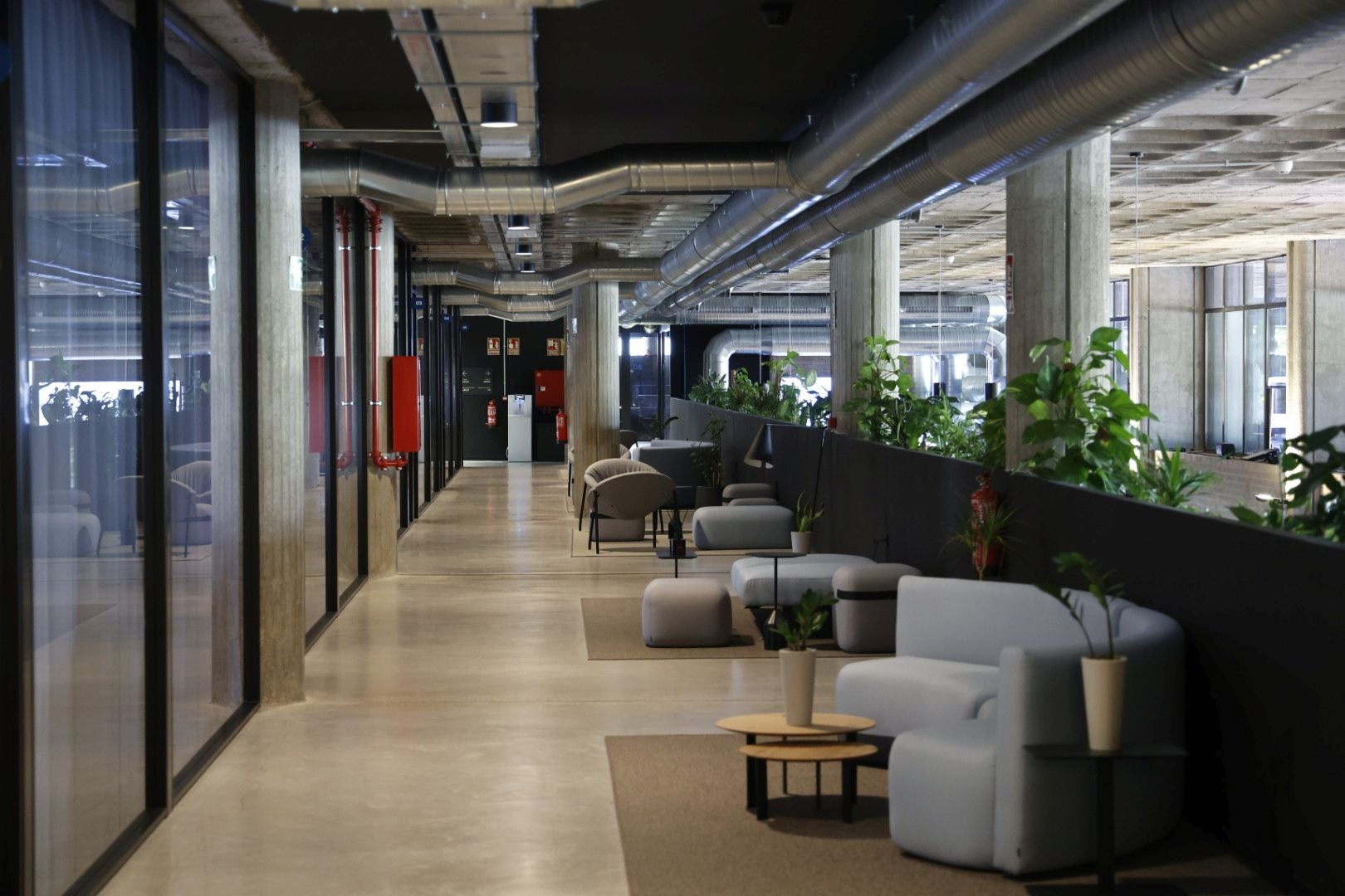 Inauguración del nuevo espacio de IBM en Valencia