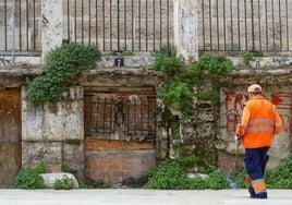 Covetes de Sant Joan.