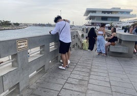Carteles informativos que advierten de que no se permite sentarse en el muro, en la Marina.