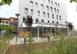 Matorrales en un centro de Servicios Sociales de Patraix.