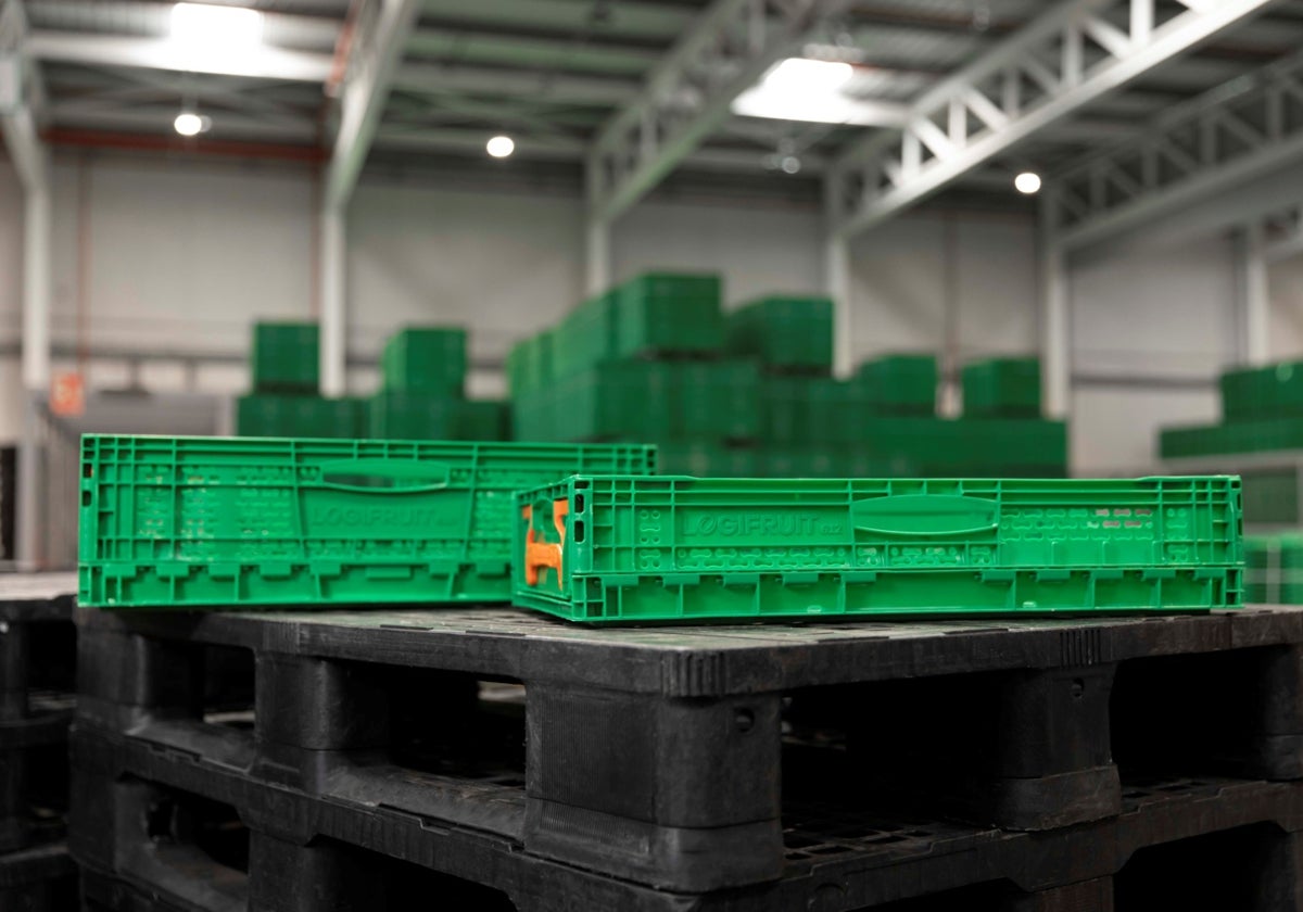 Logifruit cierra 2024 con un crecimiento del 7% y una nueva sede en Almeirim