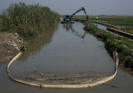 Imagen de trabajos del Estado en la Albufera tras la dana.